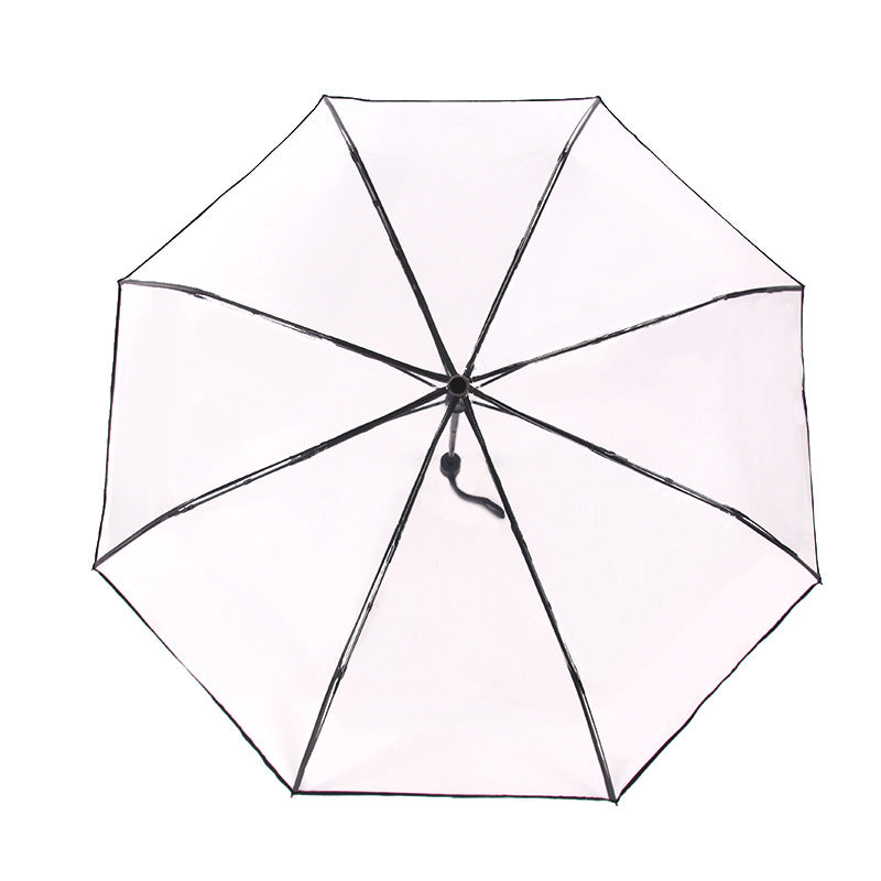 MiniVision Automatic Transparent Umbrella - the tiniest automatic clear canopy umbrella!
