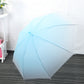 Crystal Colours - Frosted Colour Gradient Umbrella
